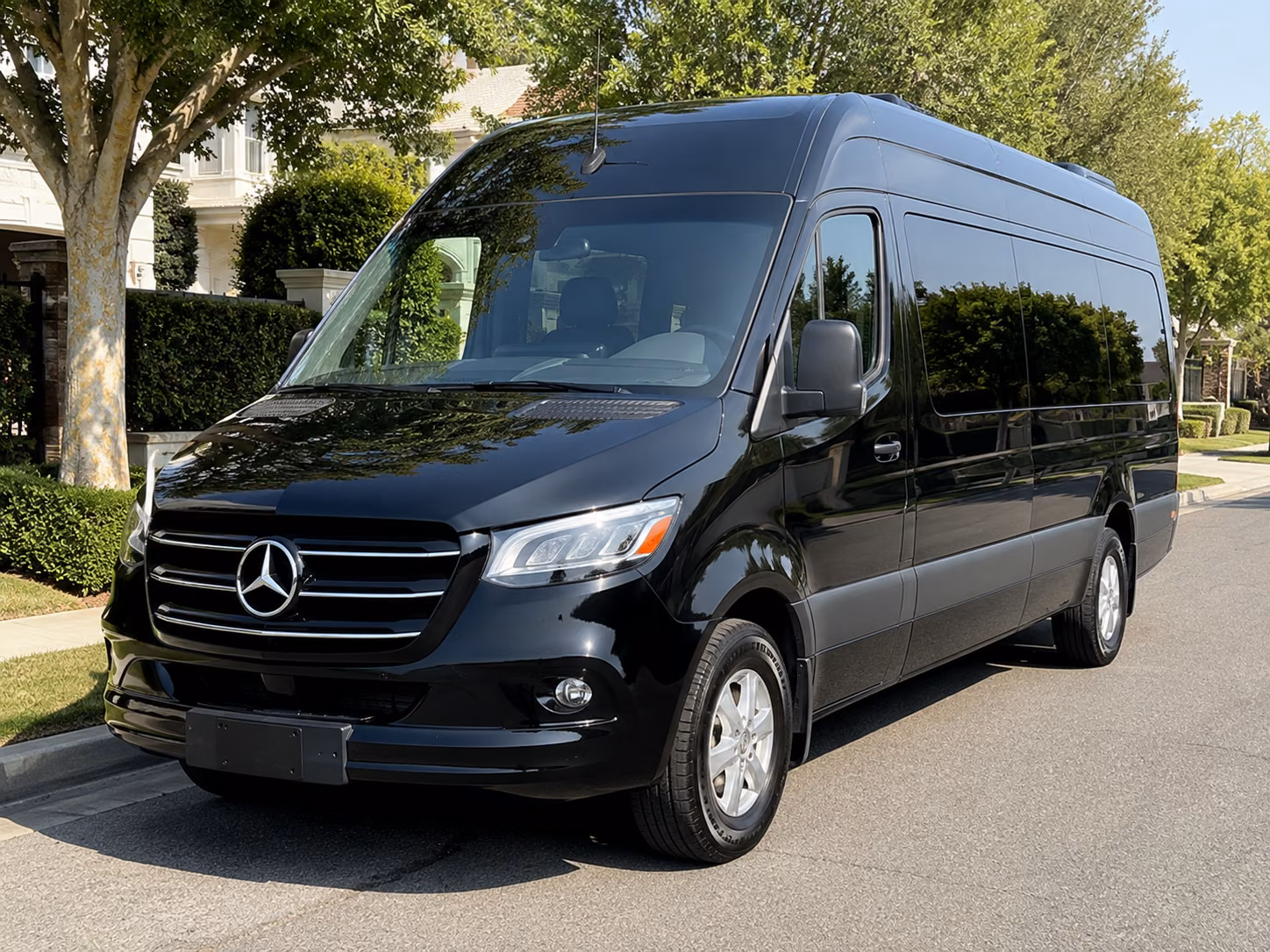 lewisville 12 passenger sprinter van